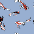 11选5彩票倍投白金流畅星辰版-11选5彩票倍投最新正版博彩APP安装包IOS/安卓通用